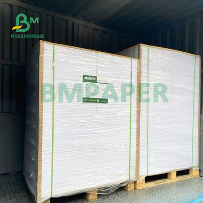 210gsm+15gsm καλή φωτεινότητα 615mm X 850mm ντυμένου εγγράφου ταινιών PE φλυτζανιών