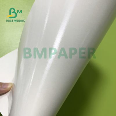 210gsm+15gsm καλή φωτεινότητα 615mm X 850mm ντυμένου εγγράφου ταινιών PE φλυτζανιών