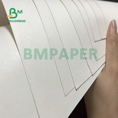210gsm+15gsm καλή φωτεινότητα 615mm X 850mm ντυμένου εγγράφου ταινιών PE φλυτζανιών