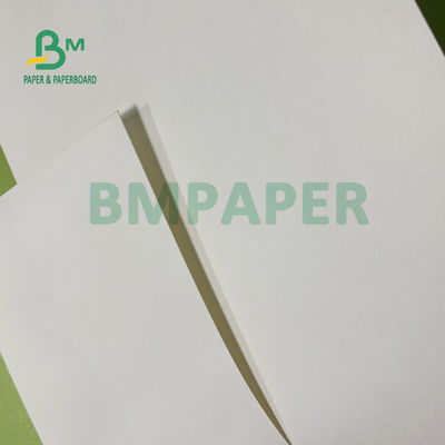 210gsm+15gsm καλή φωτεινότητα 615mm X 850mm ντυμένου εγγράφου ταινιών PE φλυτζανιών