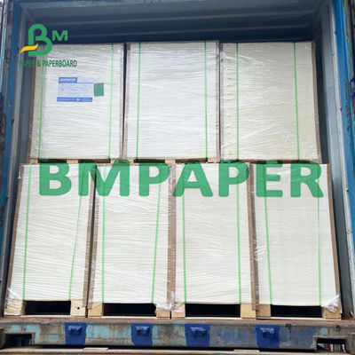 240 250 πίνακας εγγράφου GSM Polycoated Cupstock για τους ξηρούς δίσκους τροφίμων
