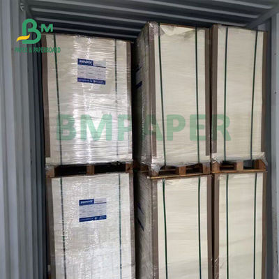 230gsm+15gsm ντυμένο έγγραφο αποθεμάτων φλυτζανιών διάρκειας PE για το κύπελλο 560mm X 700mm σούπας