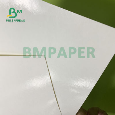 230gsm+15gsm ντυμένο έγγραφο αποθεμάτων φλυτζανιών διάρκειας PE για το κύπελλο 560mm X 700mm σούπας