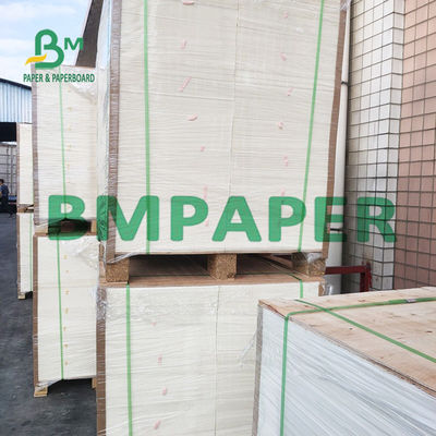 ελεφαντόδοντο Boared κάλυψης δεικτών 110lb 23x36» 25x37» C1S για τα φυλλάδια
