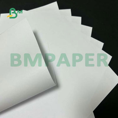 Ευρύ έγγραφο 55gsm 60gsm 65gsm Woodfree σχήματος χωρίς επίστρωση για την εκτύπωση σχολικών κειμένων