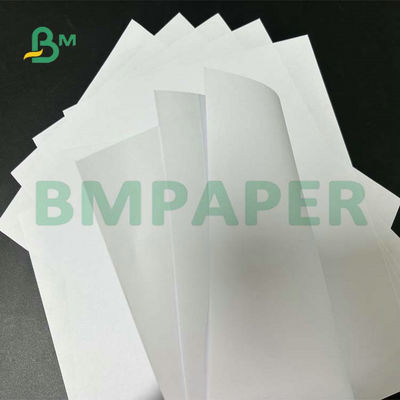 Ευρύ έγγραφο 55gsm 60gsm 65gsm Woodfree σχήματος χωρίς επίστρωση για την εκτύπωση σχολικών κειμένων