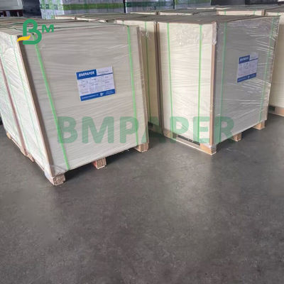 385gsm 0.7mm χωρίς επίστρωση πίνακας 640 X 880mm χαλιών μπύρας απορρόφηση απόγειου