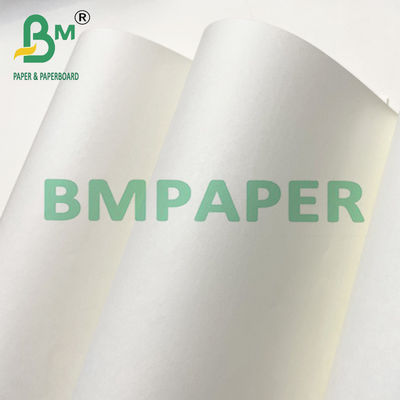 μπεζ έγγραφο όφσετ Woodfree φύλλων ρόλων GSM 80 100 120 για την εκτύπωση βιβλίων