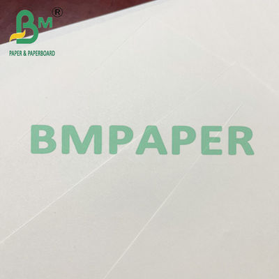 μπεζ έγγραφο όφσετ Woodfree φύλλων ρόλων GSM 80 100 120 για την εκτύπωση βιβλίων