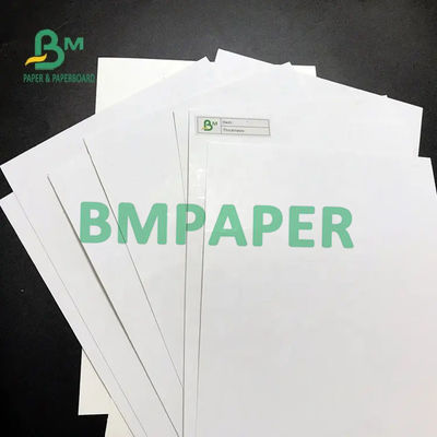 Blister SBS Paper Board Ivory C1S Sheet 275G 300G 320G 350G 400G 425G