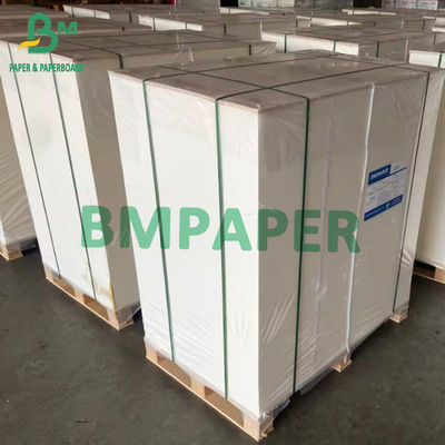 χαρτόνι χλωρίνης πινάκων 275g 300g GC1 πλάτους FBB 635mm που διπλώνει τους ρόλους εγγράφου κιβωτίων
