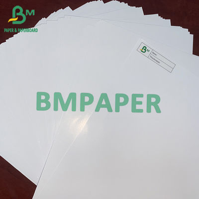 Λευκή Βίβλος 250G 300G C2S High Bulk White Paper 31&quot; X 43&quot; 41&quot; x 24&quot; 100 φύλλα ανά δέσμη