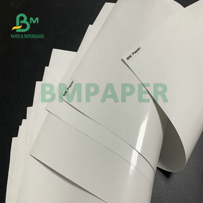Λάμψη χρώματος 80gm 100gm C1S για την κατασκευή αυτοκόλλητων ετικετών