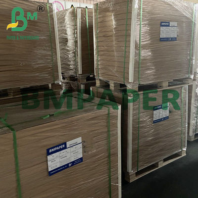 150g έως 350g Single Double Polycoated Kraft Paper Καφέ χρώμα για φλιτζάνια και μπολ