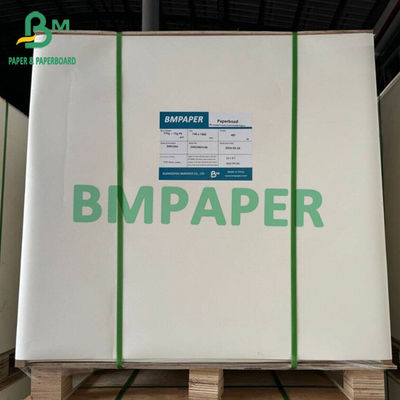 Καρτόνι ψυγείου λευκό χαρτόνι 15 γραμμάρια Single PE Coated Boards