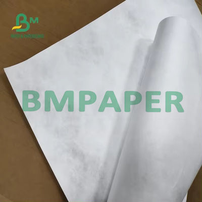 1056D 1070D Ελαφρύ λευκό ύφασμα Tyvek για έργα τέχνης