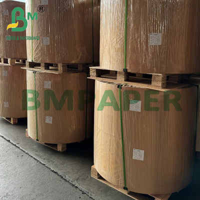210g 230g Τροφικό PE επικαλυμμένο χαρτί Cupstock για συσκευασία μπολ