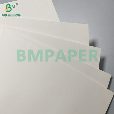 260gm+18PE Ματ επικαλυμμένο ελαιόστερο χαρτί τροφίμων για την κατασκευή χάρτινων φλιτζάνων και μπολ μιας χρήσης