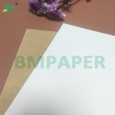 135-350 GSM Χάρτινος κυλίνδρος για δοχείο τροφίμων υψηλής δυσκαμψίας για χαρτί