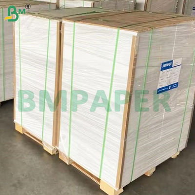 135-350 GSM Χάρτινος κυλίνδρος για δοχείο τροφίμων υψηλής δυσκαμψίας για χαρτί