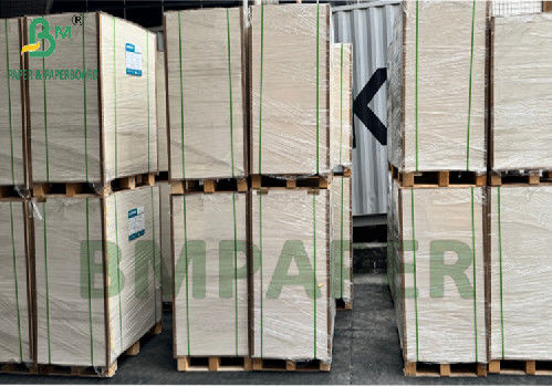 300g 350g 900mm 1000mm Επιστρωμένο χαρτί SBS για συσκευασία τροφίμων