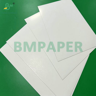 300g 350g 900mm 1000mm Επιστρωμένο χαρτί SBS για συσκευασία τροφίμων
