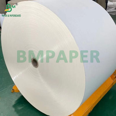 240gm + 18g PE επικαλυμμένο χαρτί Cupstock για στρώματα δίσκων ανθεκτικό στο νερό 650mm