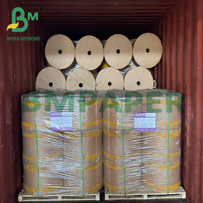 30g 33g 370mm 420mm Εσωτερικό στρώμα Μαύρο Αδιάβροχο Χαρτί Προστασίας Φρούτων