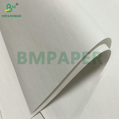 Υψηλή λευκότητα 48gm 55gm θερμική απόδειξη χαρτί Jumbo Roll