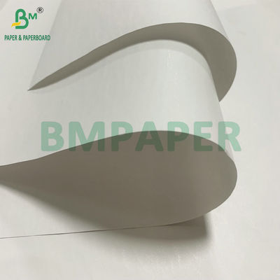 Υψηλή λευκότητα 48gm 55gm θερμική απόδειξη χαρτί Jumbo Roll