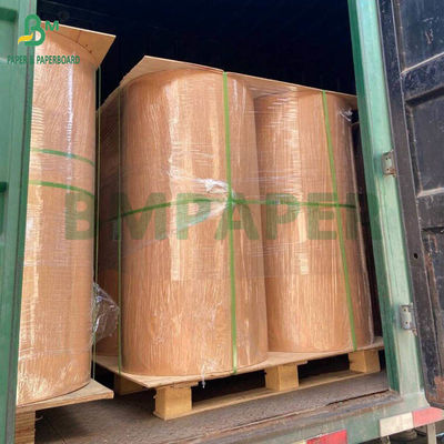 260g 280g + 10g βιοδιασπώμενο υδατικό επικαλυμμένο χαρτί χωρίς πλαστικό για φλιτζάνια