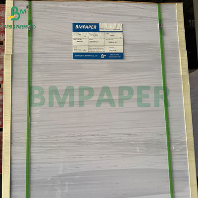 240g +15PE επικαλυμμένο 1 πλευράς Cupstock χαρτί για ποτήρια 31 x 43 ιντσών Αδιάβροχο 100%
