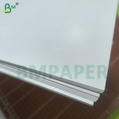 Σετ No. 6 Χαρτόνι Λιποστεγές C1S 255gsm Για Άμεση Επαφή με Τρόφιμα