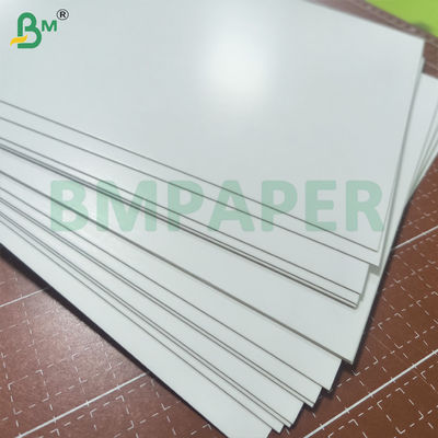 Σετ No. 6 Χαρτόνι Λιποστεγές C1S 255gsm Για Άμεση Επαφή με Τρόφιμα
