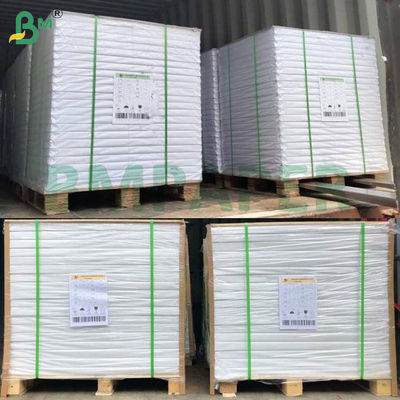 230 γραμμάρια 300 γραμμάρια Ακατέργαστο φυσικό λευκό χρώμα υδατοχρώματος