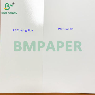 Χαρτόνι λευκό 275gsm + 15g PE με PE σε φύλλο για συσκευασία κατεψυγμένων τροφίμων