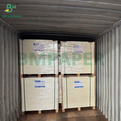 Χαρτί συσκευασίας κατεψυγμένων τροφίμων υψηλής ακαμψίας 275gsm + 15g PE, 635 X 902mm