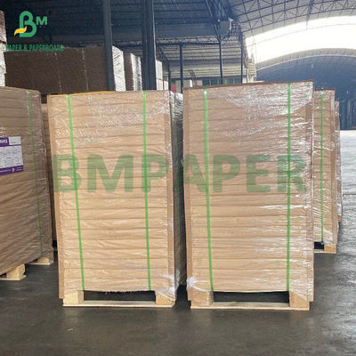 Απαλλαγμένο από BPA βιοδιασπώμενο 30GSM 40GSM κεραμικό χαρτί για συσκευασία μπέργκερ