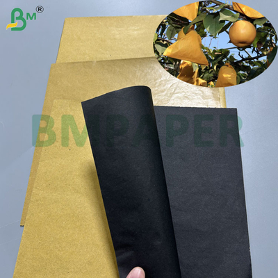 56gsm 370mm 380mm Ρολό Καφέ Χαρτί Σακούλας Φρούτων Για Προστασία Μάνγκο