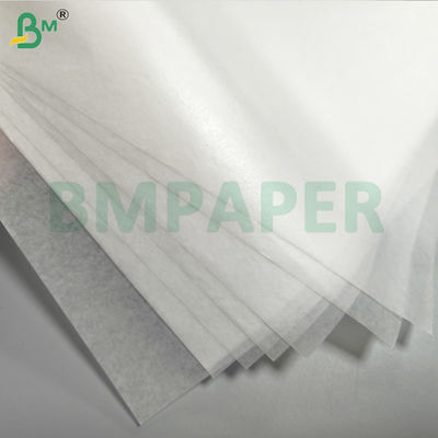 Χάρτινη αδιάβροχη προστατευτική σακούλα φρούτων και λαχανικών μακριά από παράσιτα και πουλιά