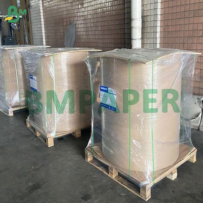 Χάρτινη αδιάβροχη προστατευτική σακούλα φρούτων και λαχανικών μακριά από παράσιτα και πουλιά