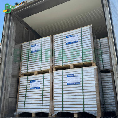 55gm 60gm Ncr Καρβονίτη αυτοαντίγραφο χαρτί κενό παρατεταμένα φύλλα 70x100cm 61x86cm