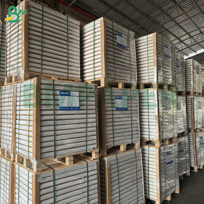 55gm 60gm Ncr Καρβονίτη αυτοαντίγραφο χαρτί κενό παρατεταμένα φύλλα 70x100cm 61x86cm