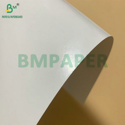 SBS Κατεψυγμένο χαρτόνι PE επικαλυμμένο 325gm για την κατασκευή κατεψυγμένων καραβιών