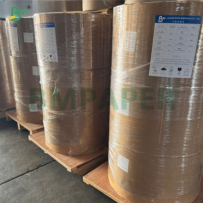 25g Natural White  High Porosity Coffee Filter Paper 600mm In Roll