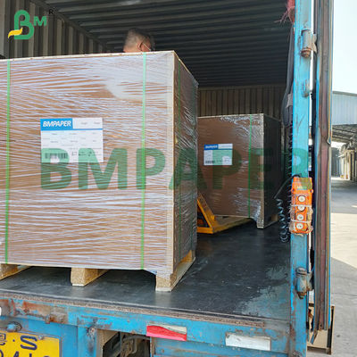 Grease Resistant Paper Plate Paper Material PET Coating Soak Proof