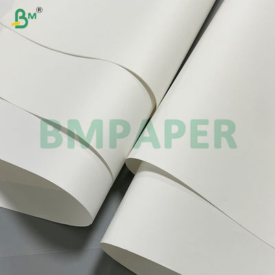 300g Οικολογικό Χαρτί Λιθογραφίας για Βιβλία Τέχνης και Άλμπουμ Υψηλής Ποιότητας