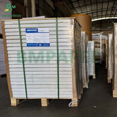 Χαρτί NCR Copy CB CFB CF 55gr 60gr 65gr 70gr 75gr Χωρίς Ανθρακα Φύλλο Ρολό