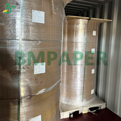 Χαρτί ειδικών ειδών για τα πιάτα και τα μπολ τροφίμων / χαρτί πιάτων, επικαλυμμένο με PET