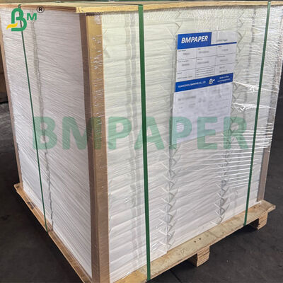 100% βαμβακερό χρώμα υδατοχρωματικό χαρτί για ζωγραφική 300gm 70cm X 50cm Μέγεθος